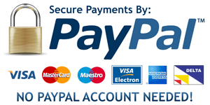 Online Payment